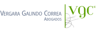 vergara galindo correa logo